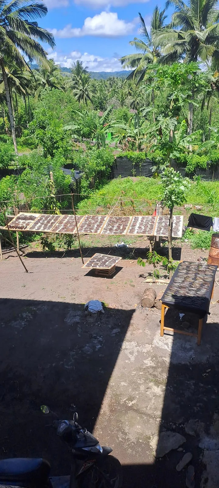 Commodity documentation 11, Bhumi Lestari
