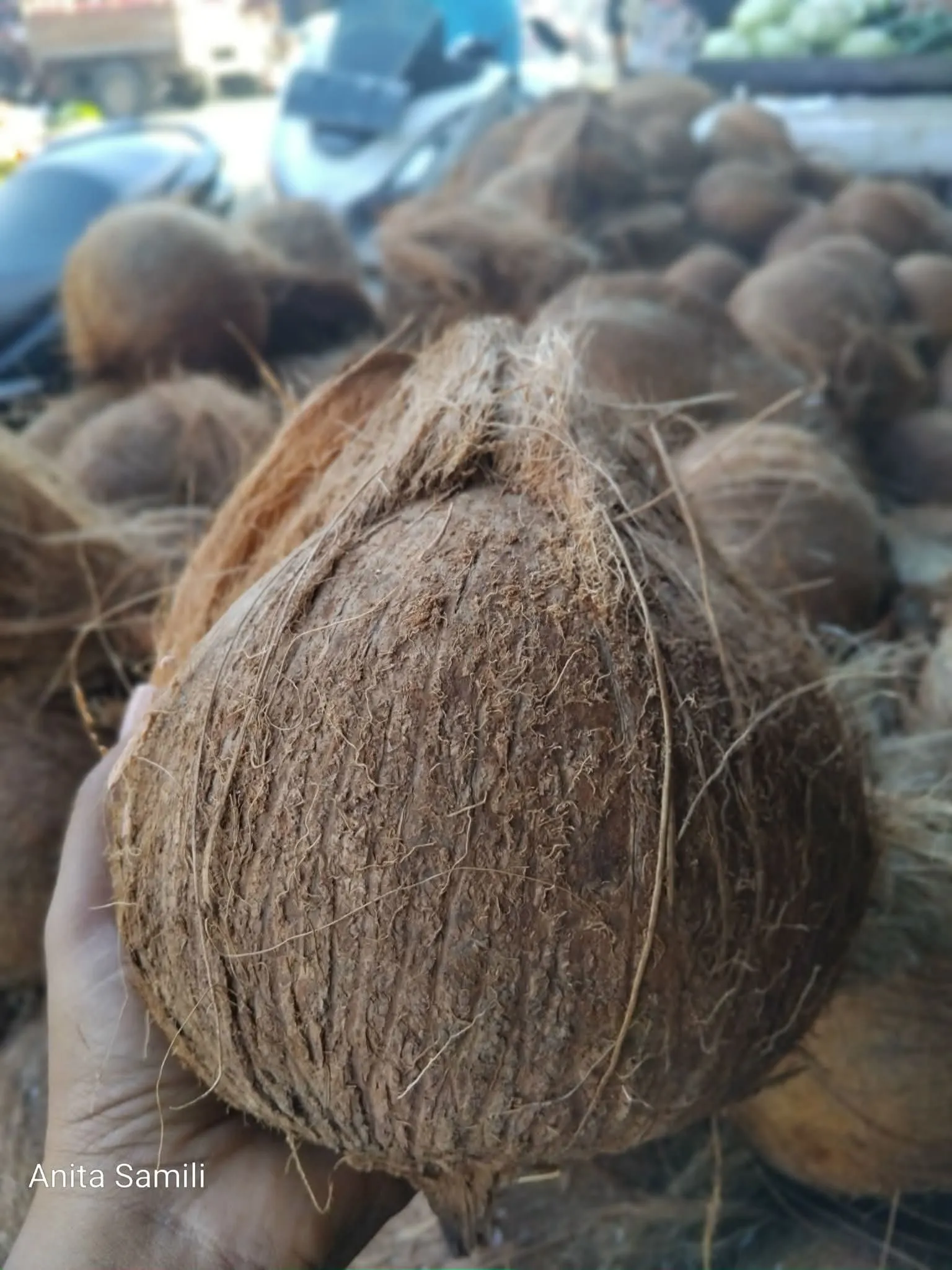 Commodity documentation 18, Bhumi Lestari