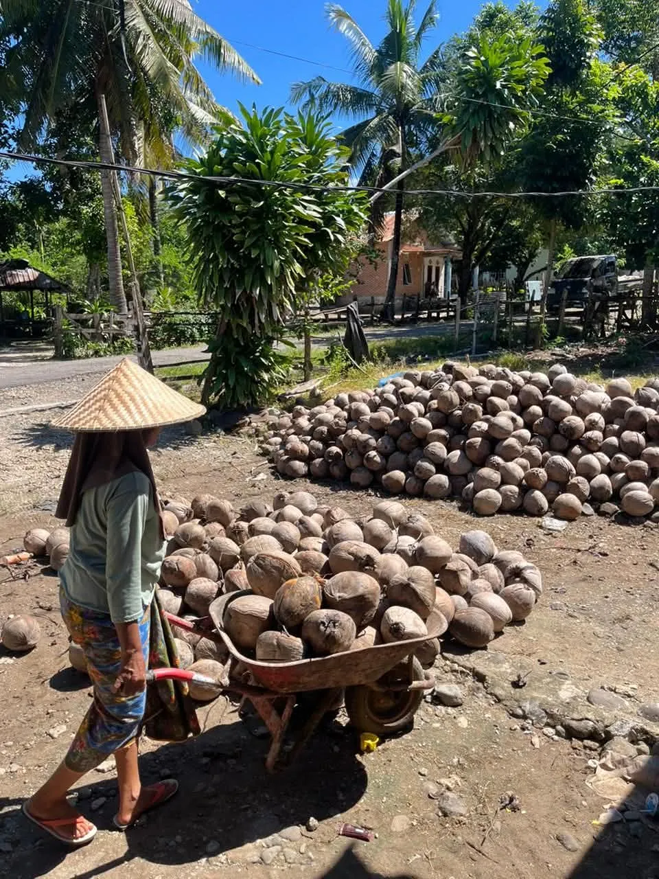 Commodity documentation 19, Bhumi Lestari