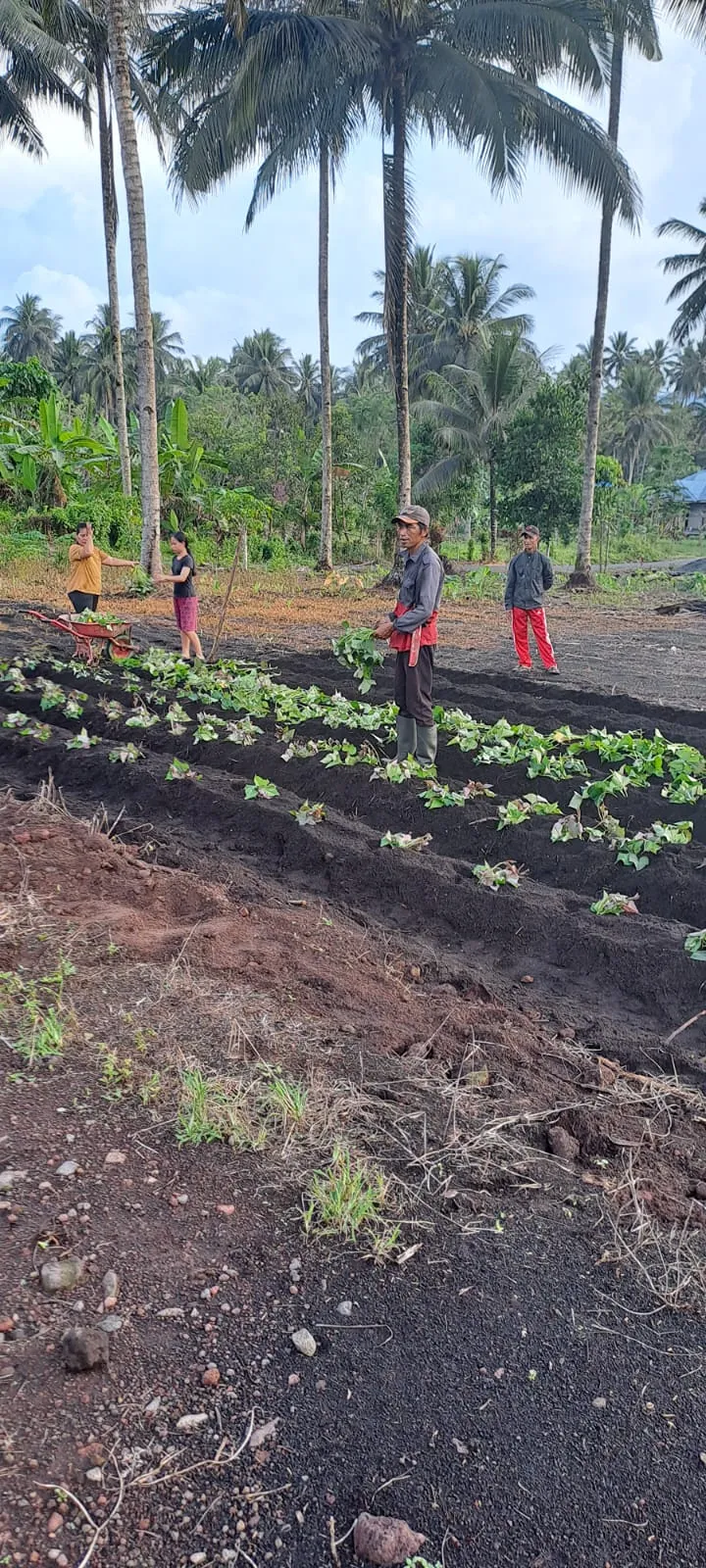 Projects documentation 5, Bhumi Lestari