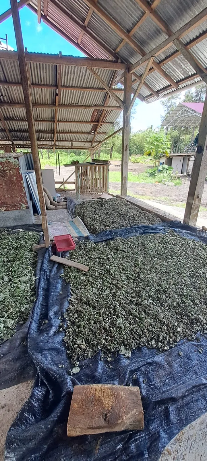 Projects documentation 11, Bhumi Lestari
