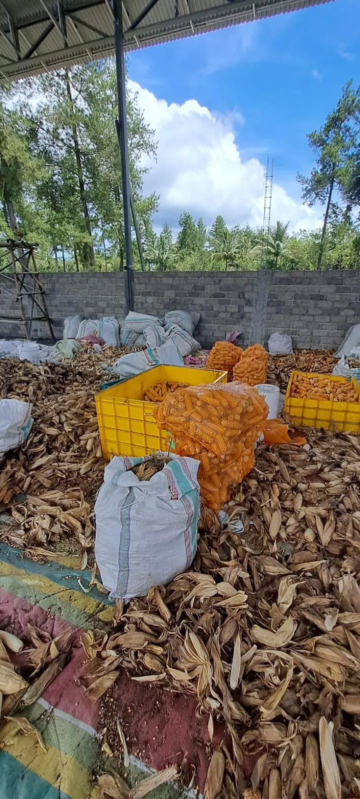 Projects documentation 12, Bhumi Lestari