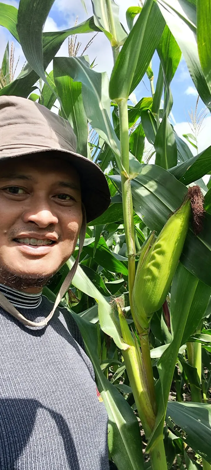 Projects documentation 19, Bhumi Lestari
