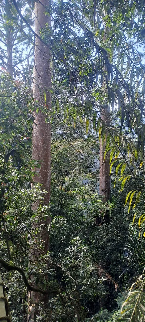 Survey & Feasibility documentation 10, Bhumi Lestari