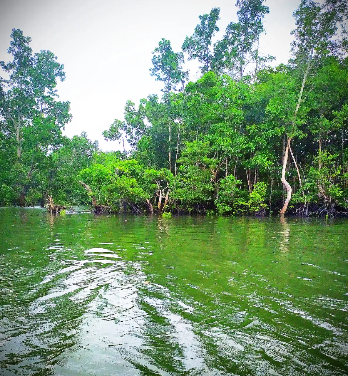 Survey & Feasibility documentation 11, Bhumi Lestari
