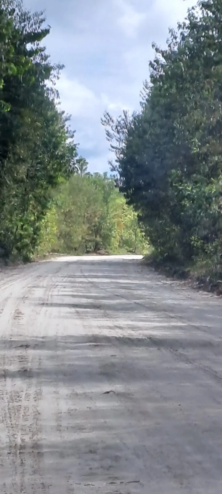 Tabatan Peatland project area, Barito Selatan, Central Kalimantan